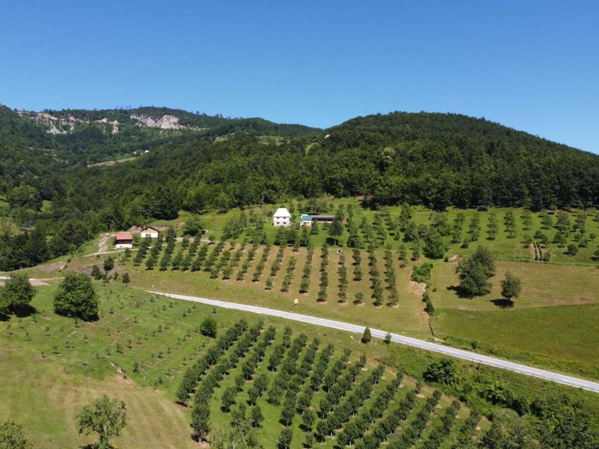 Kljajevica Orchard Casa de hóspedes Pljevlja Exterior foto