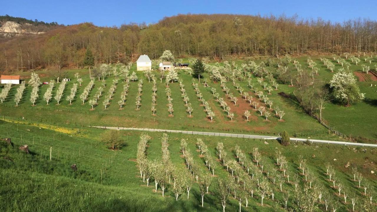 Kljajevica Orchard Casa de hóspedes Pljevlja Exterior foto