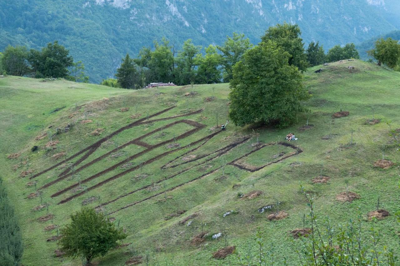 Kljajevica Orchard Casa de hóspedes Pljevlja Exterior foto